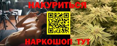 сатива Заволжье