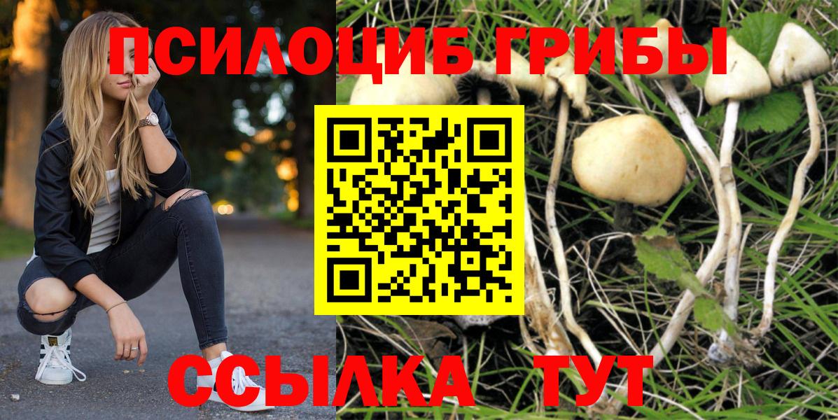 Галлюциногенные грибы MAGIC MUSHROOMS  Вход с VPN  Лабытнанги 
