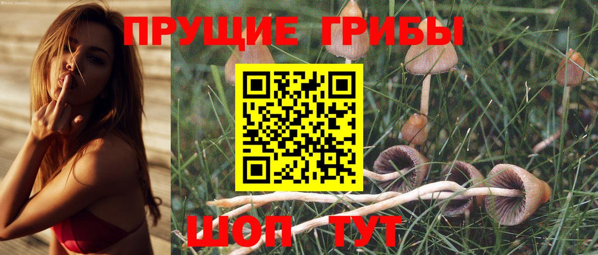 Галлюциногенные грибы GOLDEN TEACHER Лабытнанги