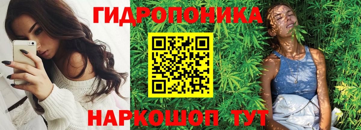 Шишки марихуана MAZAR Лабытнанги